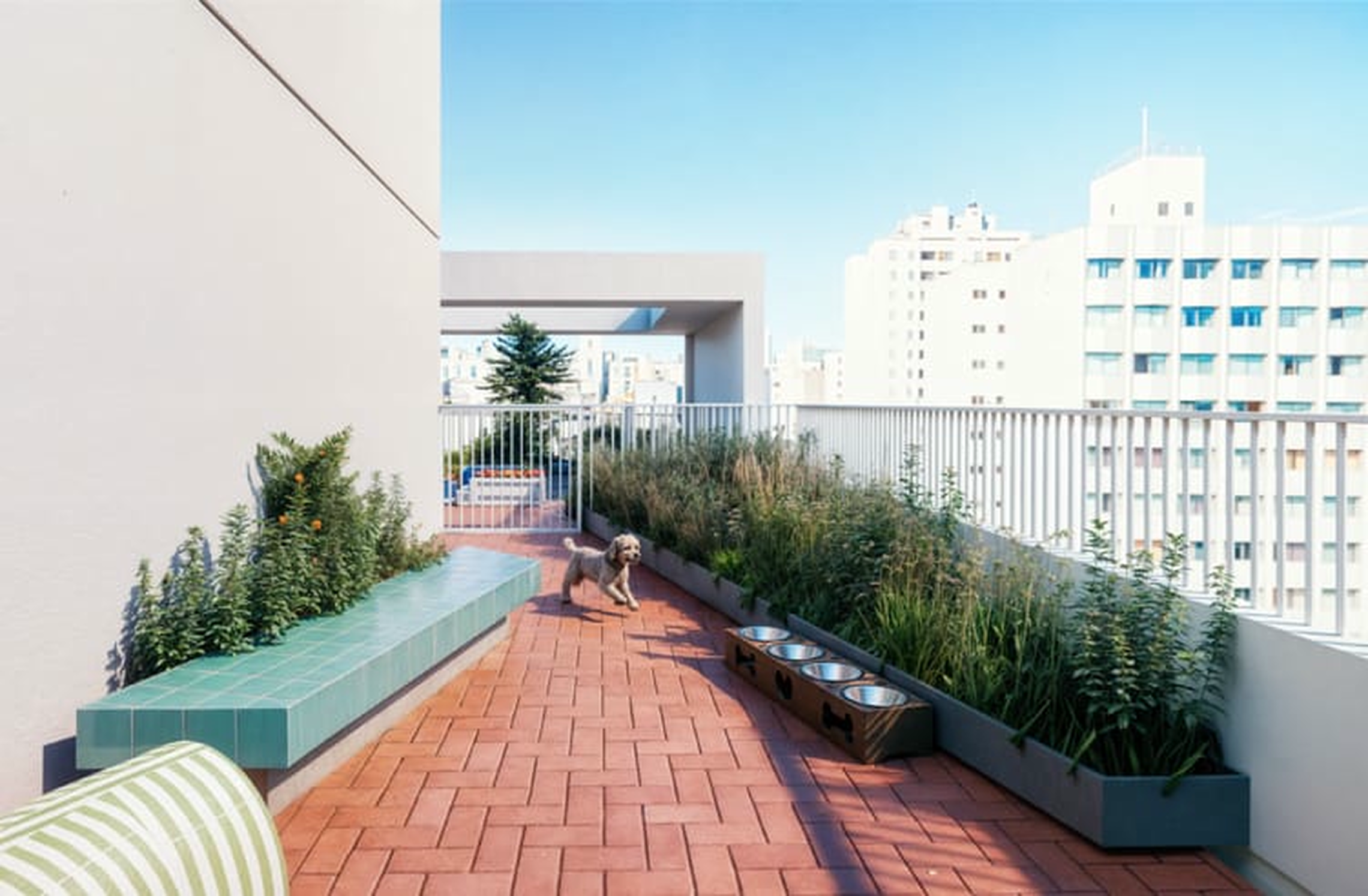 Nurban Rua das Palmeiras